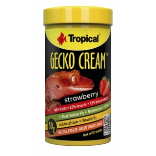 Tropical Gecko Cream Strawberry 100ml/55g AKCE
